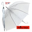 durchsichtiger Regenschirm Stockschirm Transparent Rainy Days